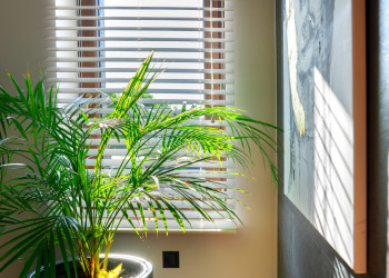 Wewnętrzne żaluzje drewniane 50 mm Clicky Flip kolor kokos sól