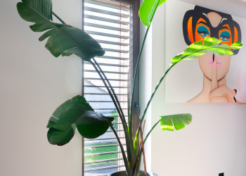 Żaluzje fasadowe widok od wewnątrz